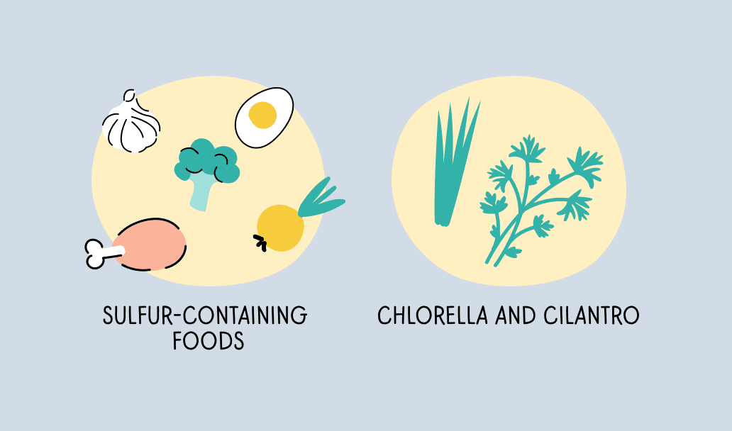 sulfur-containing foods