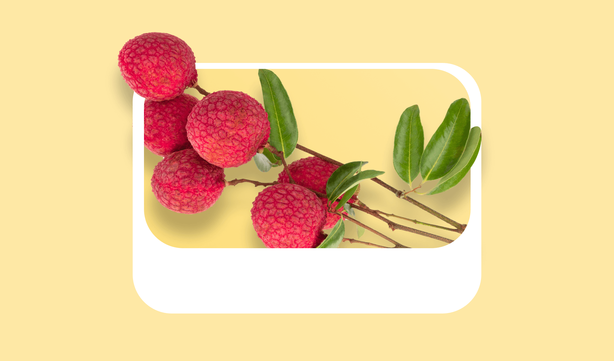 Lychee